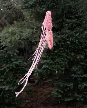 VESTIGE