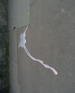 VESTIGE